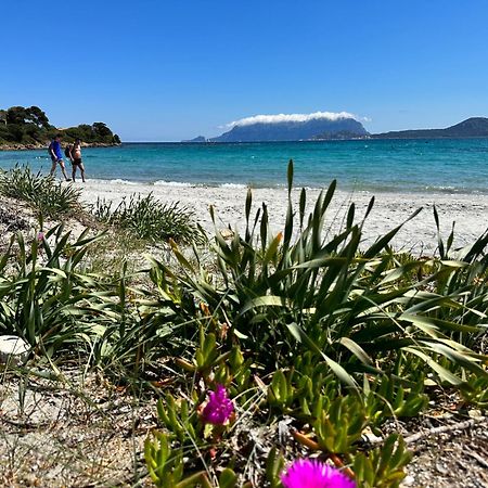 Appartamento Monolocale a due passi dal mare Olbia Esterno foto