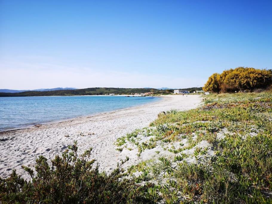 Appartamento Monolocale a due passi dal mare Olbia Esterno foto