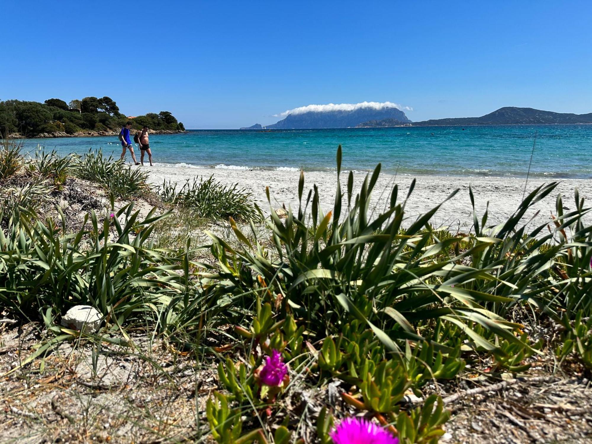 Appartamento Monolocale a due passi dal mare Olbia Esterno foto